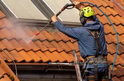 Démoussage et hydrofuge de toiture à Méral